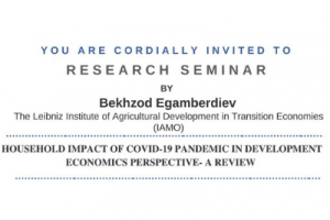 Household impact of COVID-19 pandemic in development economics perspective